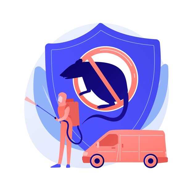 Best Practices for Installing Safety Equipment in Your Car